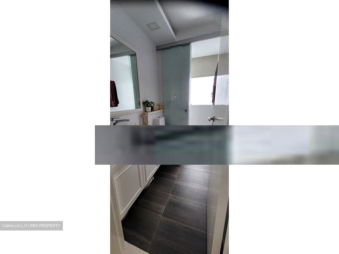 The Sea View (D15), Condominium #408538961